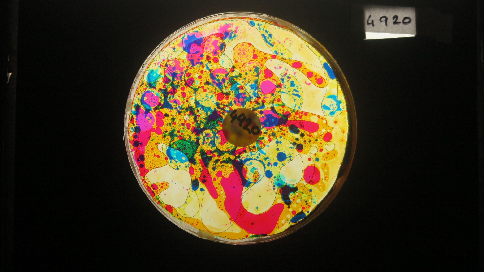 BV4920 bubble vision oil wheel